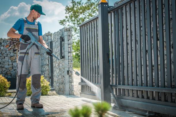 Best Roof Washing  in Detroit Beach, MI