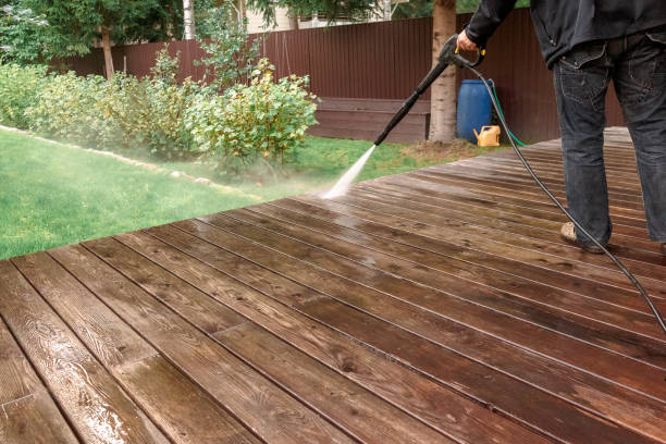 Best Solar Panel Cleaning  in Detroit Beach, MI